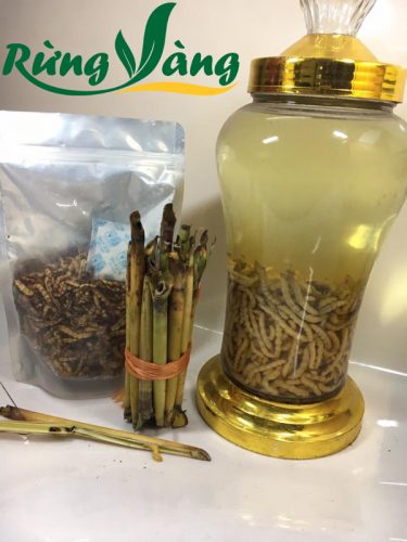 Sâu chít tươi và khô bán tại Shop Rừng Vàng
