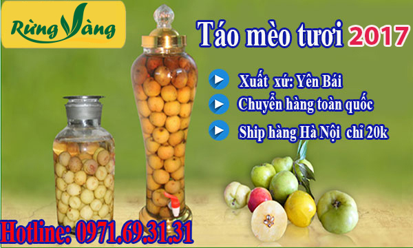 táo mèo tươi 2017
