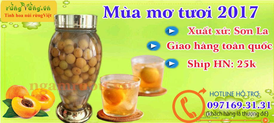 Mùa quả mơ tươi 2017