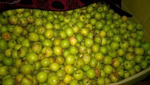 Sơn tra ngâm nước