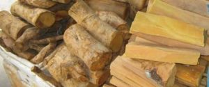 Rễ và thân cây mật gấu