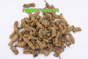 Tác dụng của ba kích thần dược cho quý ông và tác hại của ba kích