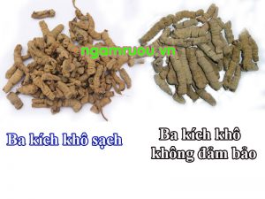 Ba kích khô sạch và hàng ba kích nơi khác