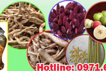 Tổng hợp các đồ ngâm rượu – cây thuốc ngâm rượu tốt cho sức khỏe