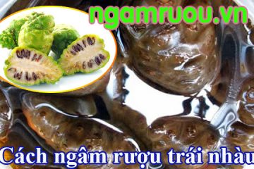 Cách ngâm rượu trái nhàu tươi & khô thơm ngon không cưỡng được