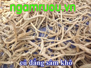 củ đẳng sâm khô