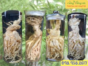 đinh lăng điêu khắc bộ tứ linh