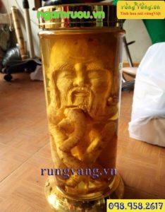 Đinh lăng điêu khắc