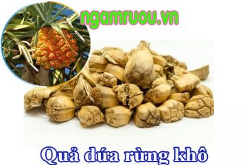 Cách ngâm rượu quả dứa dại rừng CỰC thơm ngon