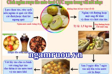 Cách ngâm rượu táo mèo thơm ngon tuyệt đỉnh với 3 cách ngâm thần thánh