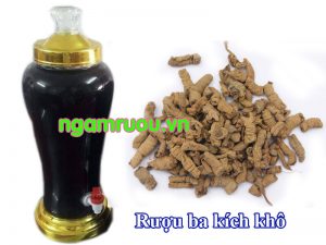 cách ngâm rượu ba kích khô