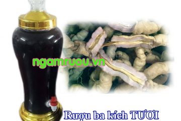 Cách ngâm rượu ba kích tươi thơm ngon đến giọt cuối cùng