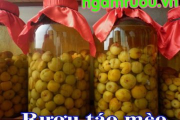 Tác dụng của rượu táo mèo những điều chắc chắn bạn chưa biết