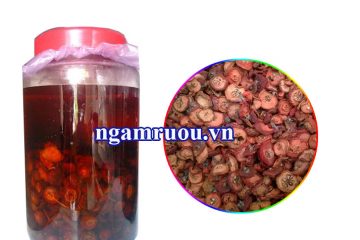 Cách ngâm rượu táo mèo khô CỰC ngon và công dụng táo mèo khô