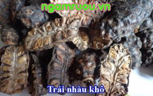 Trái nhàu khô