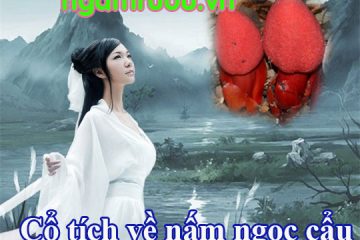 Nấm ngọc cẩu – chuyện cổ tích về cây nấm tan cửa nát nhà
