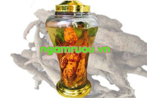 Rượu cát sâm