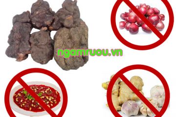 Tác hại của hà thủ ô – tác dụng phụ và những kiêng kỵ khi dùng
