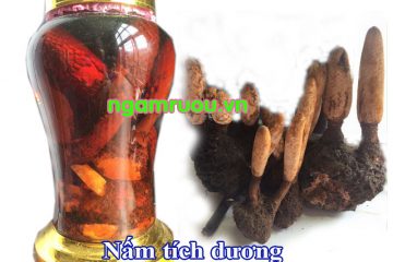 Cách ngâm rượu nấm tích dương