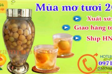 Cách ngâm rượu mơ tươi kiểu Việt Nam đơn giản thơm ngon dễ uống