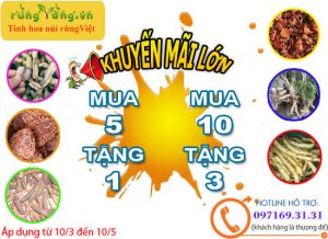 Chương trình khuyến mãi chi ân khách hàng
