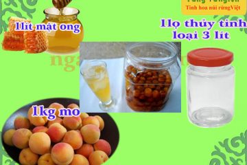 Cách ngâm mơ với mật ong thơm ngon bổ dưỡng dễ làm ngay tại nhà