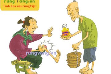 Bí quyết ngâm rượu hạt gấc bảo vệ sức khỏe cho gia đình
