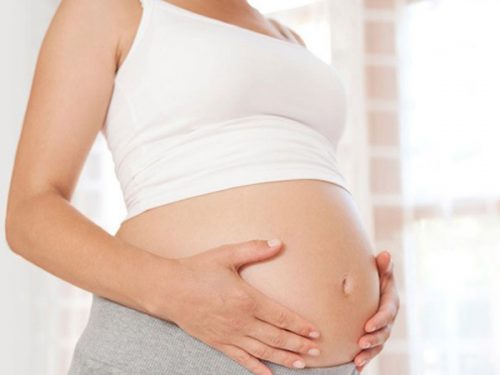 quả sim không gây hại cho bà bầu
