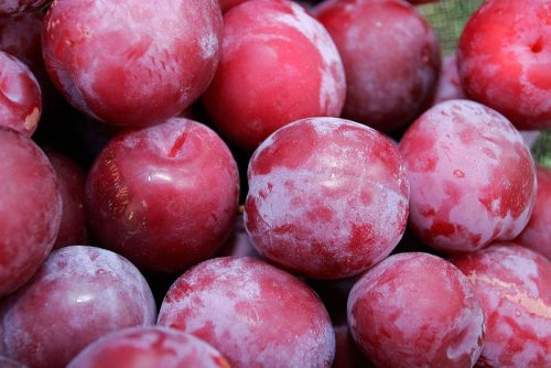 Quả mận có rất nhiều công dụng tốt