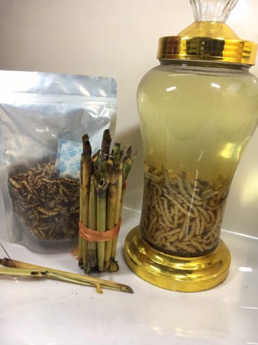 Rượu ngâm sâu chít