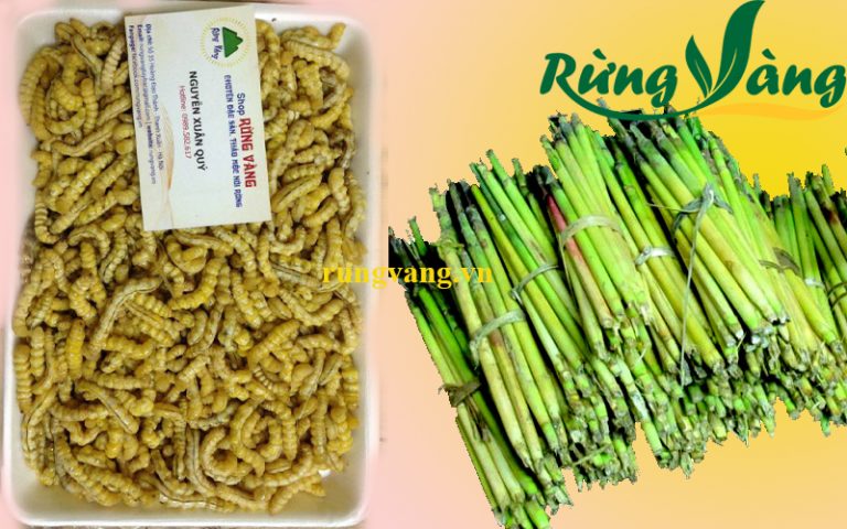 Lựa chọn mua sâu chít nguyên bó hay chế biến sạch sẽ tại Shop Rừng Vàng giao trong ngày