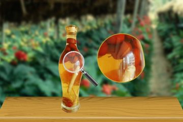 BÍ MẬT cách ngâm rượu táo đỏ Tân Cương ngon tuyệt vạn người mê!