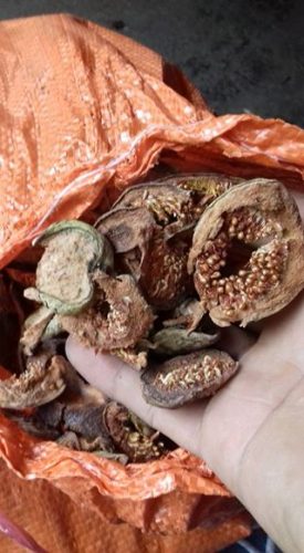 trâu cổ sấy khô