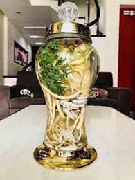 mối chúa rừng ngâm đinh lăng