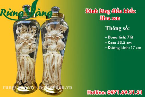 bình đinh lăng điêu khắc hoa sen 7 lít