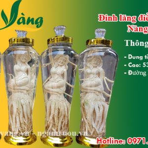 bình đinh lăng điêu khắc nàng tiên cá 7 lít