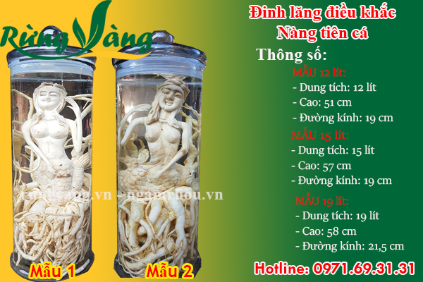 Đinh lăng điêu khắc nàng tiên cá bình trụ 12 lít, 15 lít, 19 lít