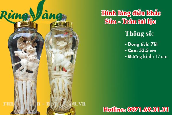 đinh lăng điêu khắc sửu - trâu 7 lít