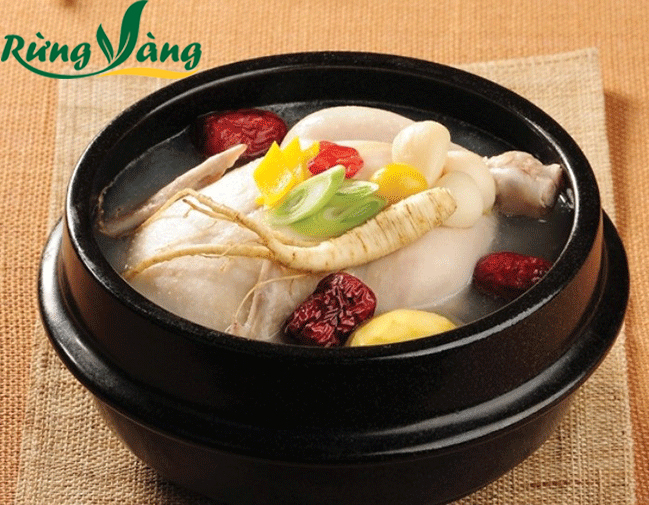 Gà hầm Sâm Saponia