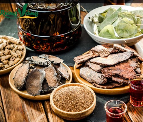 Tỏa dương nên ngâm cùng các vị gì