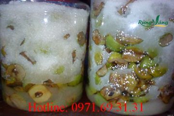 Cách ngâm táo mèo đường phèn chuẩn đúng chất thơm ngon