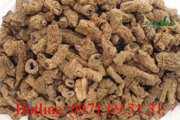 Cách đun nước uống củ ba kích khô tốt nhất cho sức khỏe