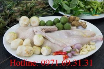 Món ăn bài thuốc với củ ba kích – tuyệt chiêu bồi bổ sức khỏe