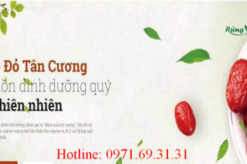 Táo đỏ Tân Cương ngâm rượu như thế nào?
